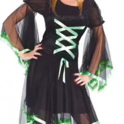 Ribbon Witch Plus Size Adult Costume