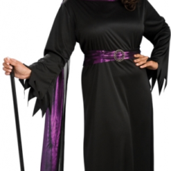 Plus Size Witch Costume
