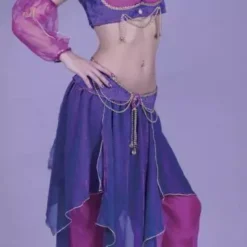 Belly Dancer Adult Costume