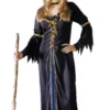 Renaissance Witch Plus Size Adult Costume
