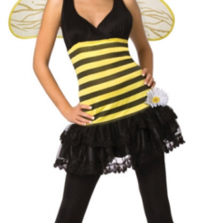 Sweet As Honey Adult Costume
