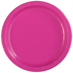 Hot Pink Dinner Plates (24 Count)