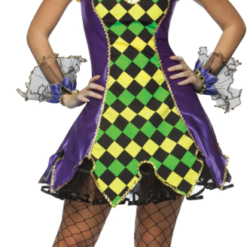 Mardi Gras Jester Woman Adult Costume
