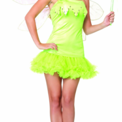 Pixie Dust Fairy Adult Costume
