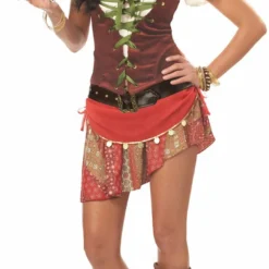 Mystic Gypsy Plus Adult Costume