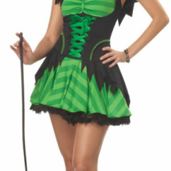 Hocus Pocus Adult Costume