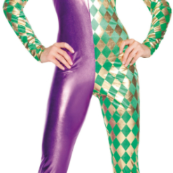Mardi Gras Harlequin Catsuit Adult Costume