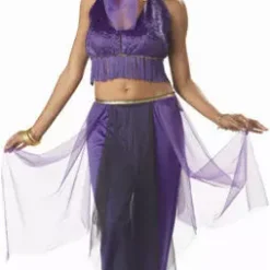 Belly Dancer Costume