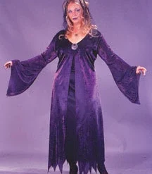 Spell Spinner Plus Size Adult Costume