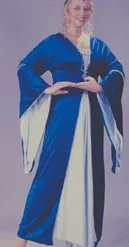Medieval Queen Velvet Plus Size Adult Costume