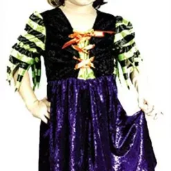 Fairy Tale Witch Toddler Costume