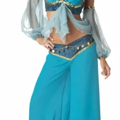 Harems Jewel Adult Costume